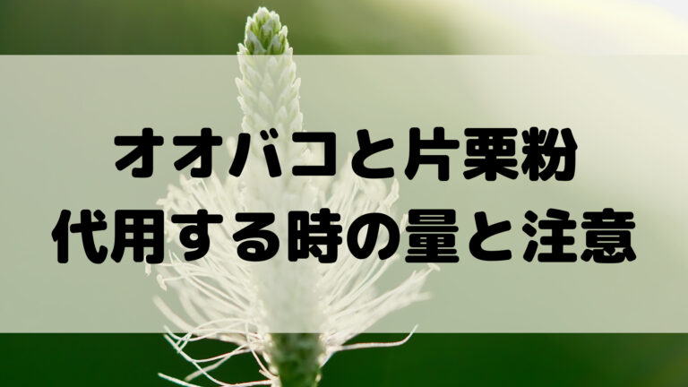 オオバコ サイリウム を片栗粉で代用する時の分量と失敗しない方法