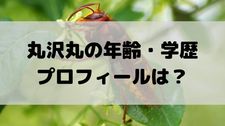 丸沢丸の年齢や学歴等プロフィール 年収はいくらで結婚してる